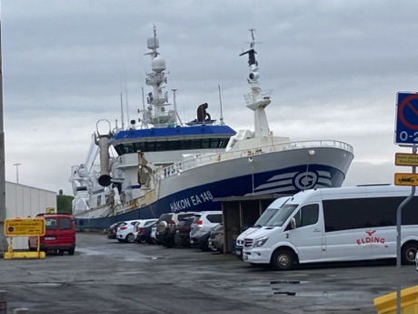 on the Reykjavik Harbor